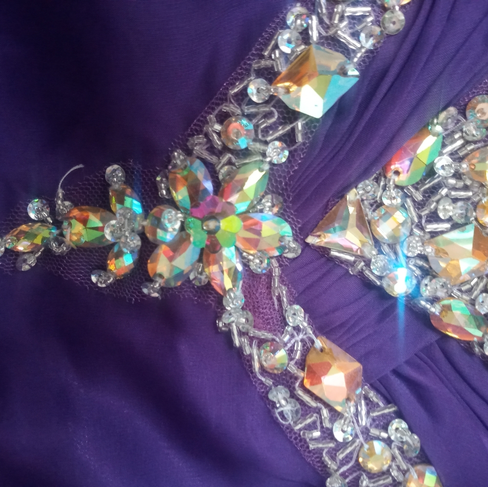 Purple Ritzee Original Dress - Picture 5 of 6